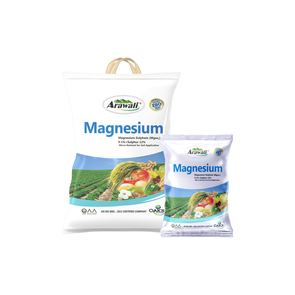 MAGNESIUM