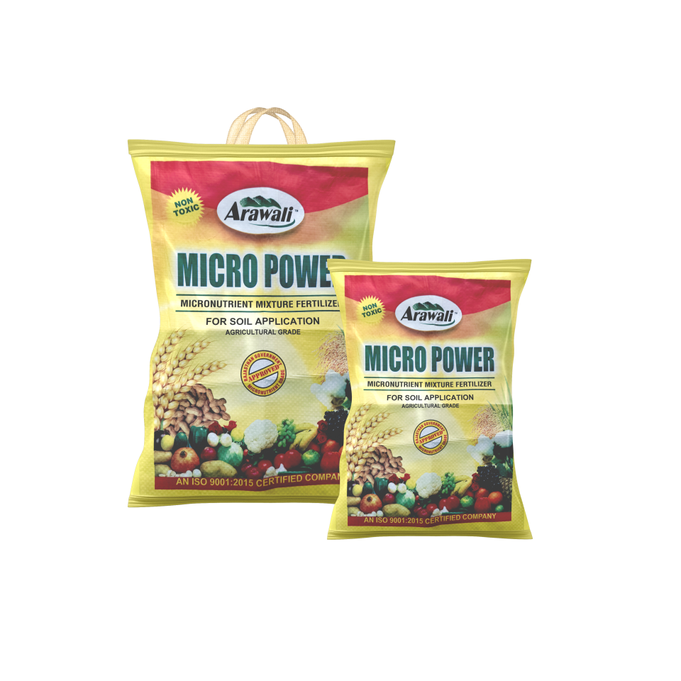 MICRO POWER