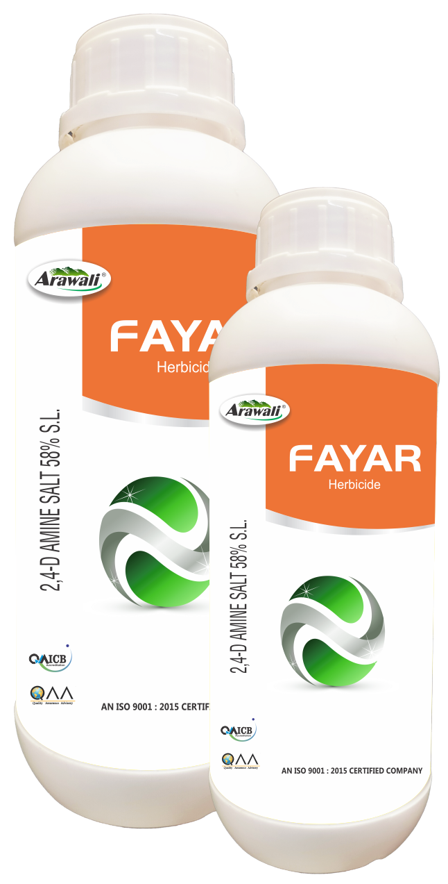 FAYAR