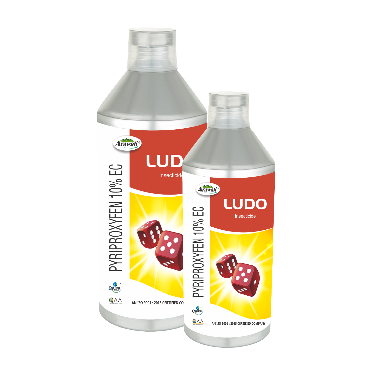 LUDO