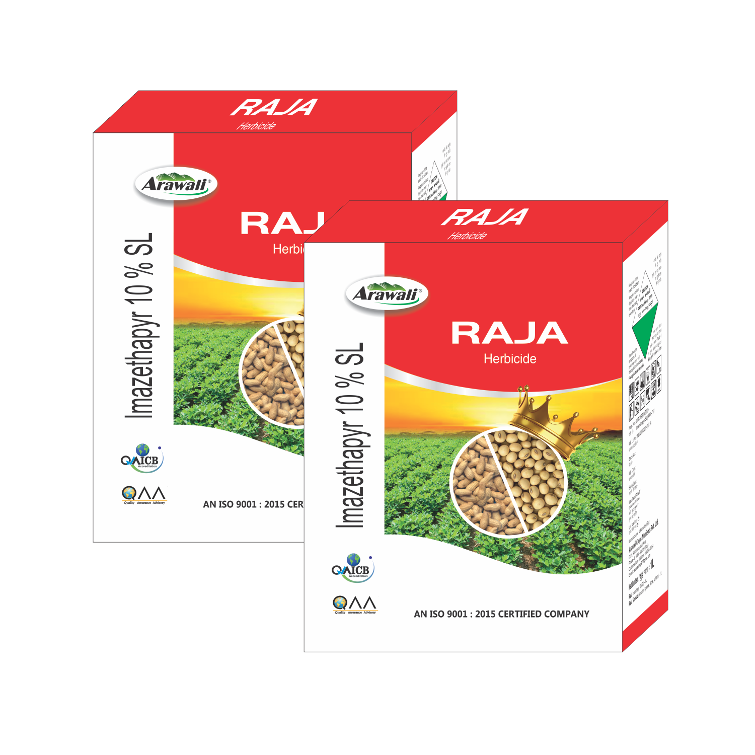 RAJA